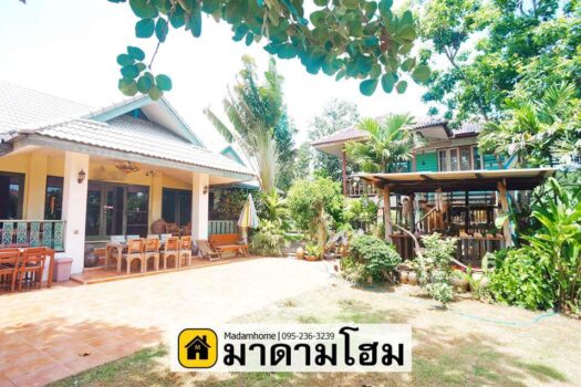 ขายบ้านเดี่ยวเกาะเมืองอยุธยา